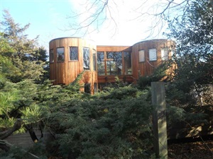 Gorgeous wood home peeking out through trees